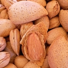 orto dei noci